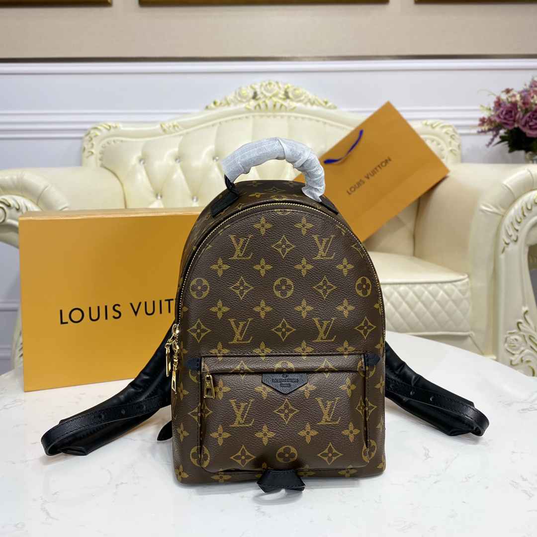 Louis Vuitton PALM SPRINGS MINI Backpack Monogram M44873